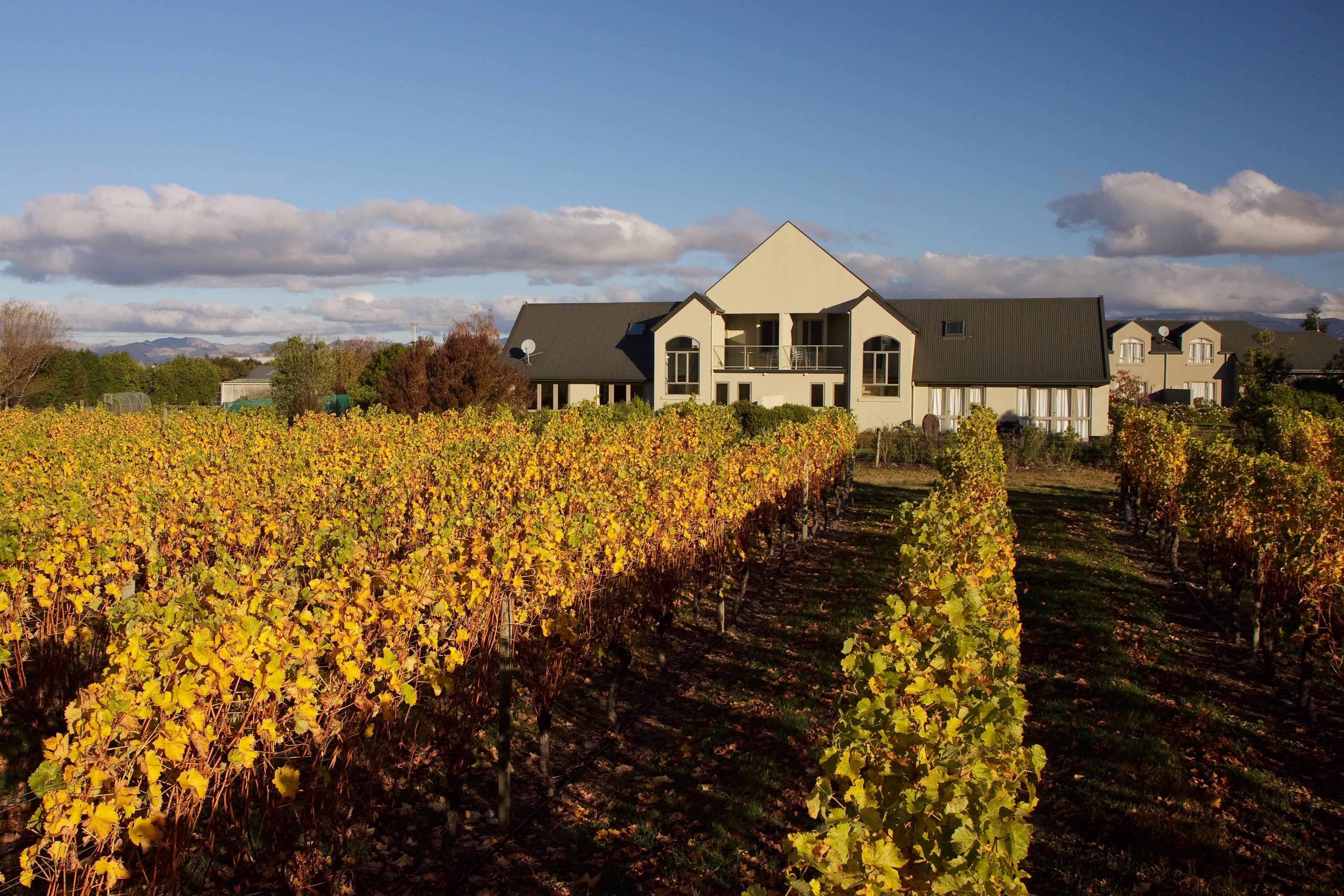 Hotel Vintners Retreat Blenheim Zewnętrze zdjęcie